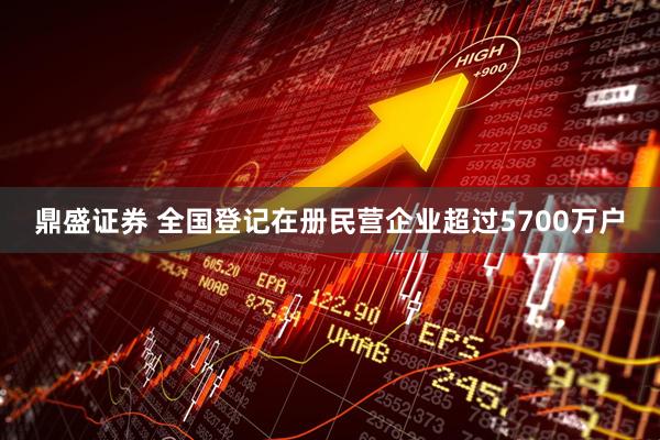 鼎盛证券 全国登记在册民营企业超过5700万户