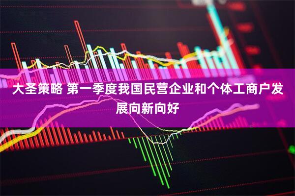 大圣策略 第一季度我国民营企业和个体工商户发展向新向好