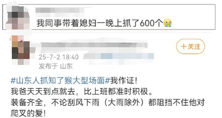 共享财富 有人一天净赚2000元！近期大量出现，不少人夜晚出动