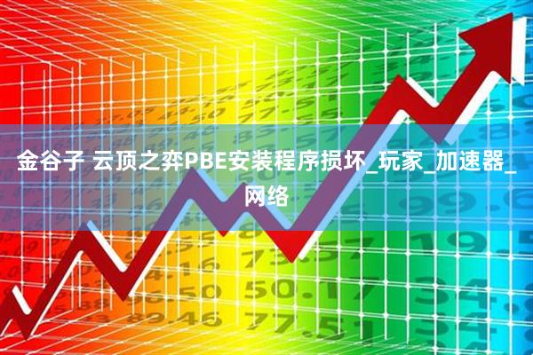 金谷子 云顶之弈PBE安装程序损坏_玩家_加速器_网络