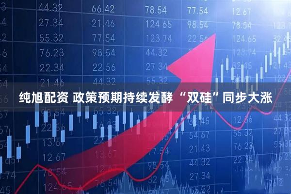 纯旭配资 政策预期持续发酵 “双硅”同步大涨